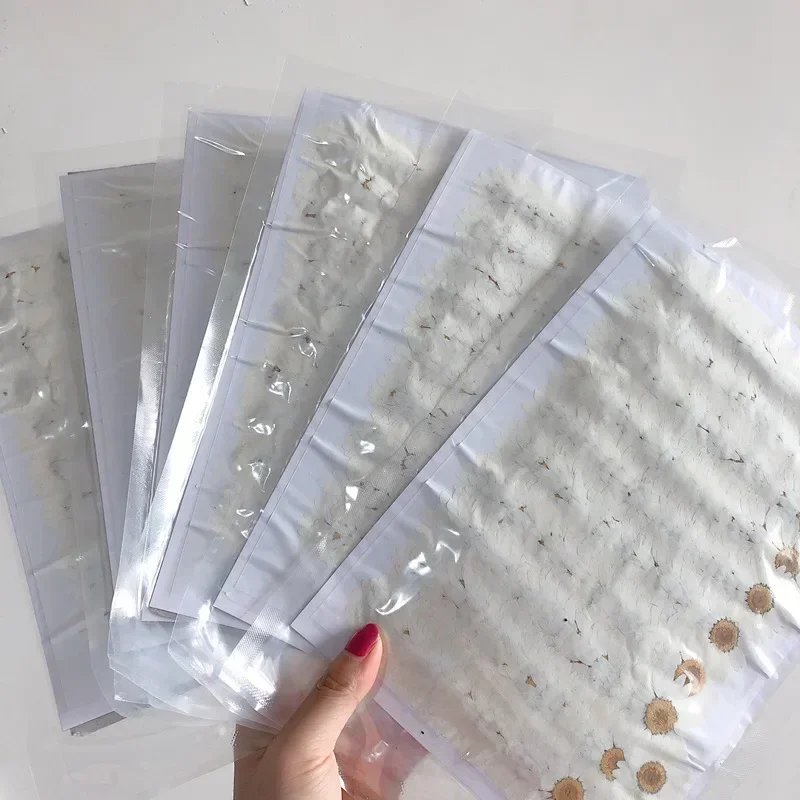 60X 말린 자연 흰색 국화 Paludosum 꽃 보석 - Dried Flower Bookmark 리뷰 및 가격