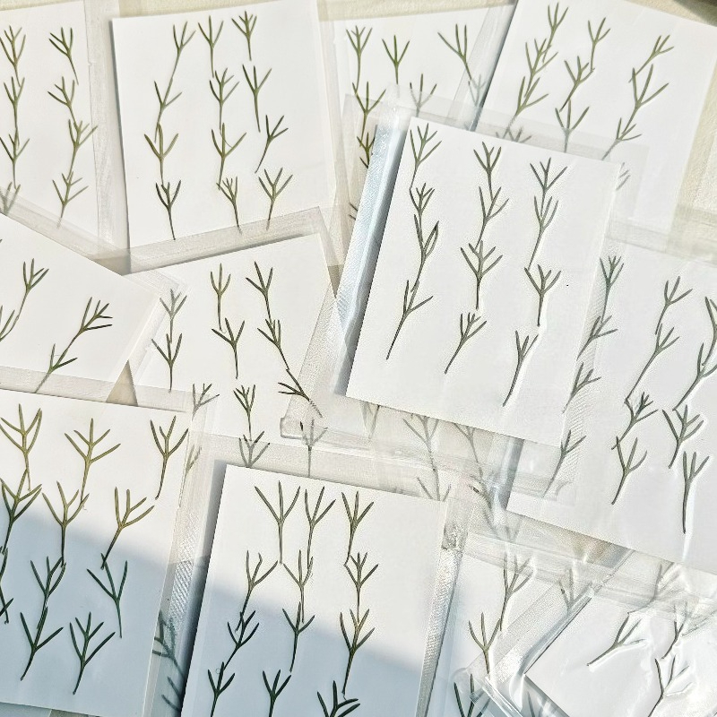 24개, 에폭시 수지 몰드용 실제 압축된 아킬레아 잎  - Dried Flower Bookmark 리뷰 및 가격