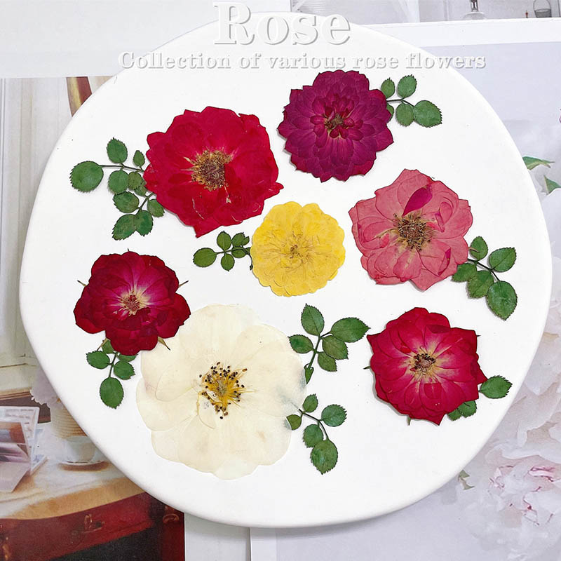 60pcs 누르면 말린 빨간색 노란색 핑크 장미 꽃 식 - Dried Flower Bookmark 리뷰 및 가격